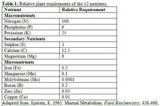 File:240px-Capture 25.webp