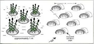 File:300px-Page 10.webp
