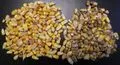 File:120px-Maize 11.webp