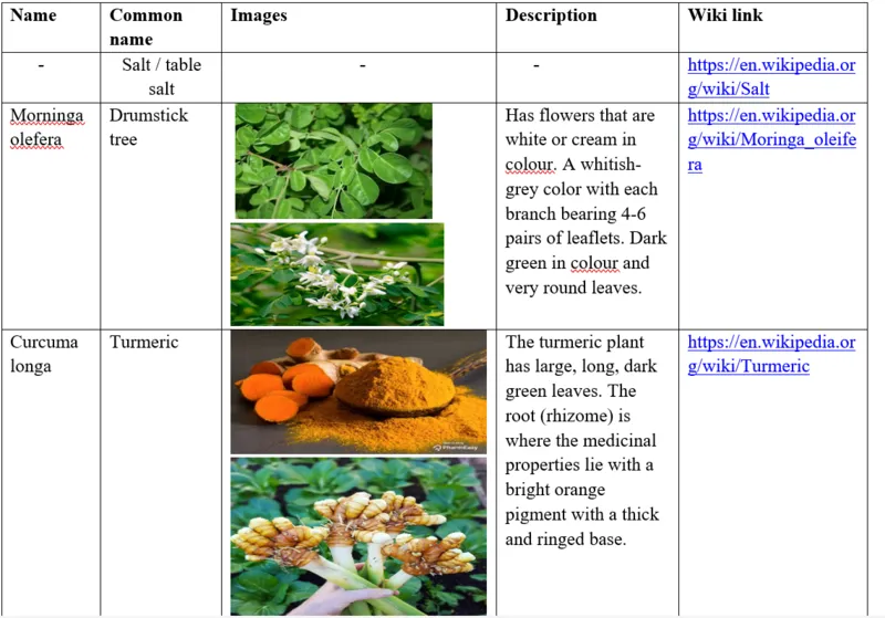 File:800px-Lan 13.webp