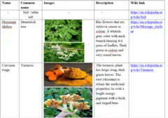 File:240px-Lan 13.webp