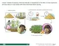 File:120px-8.7 South Asian eng page-0001.webp