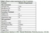 File:180px-Capture 25.webp