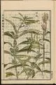 File:80px-ANCIENT.webp