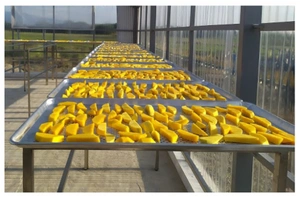 File:Mango 23.webp