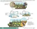File:120px-8.6b page-0001.webp