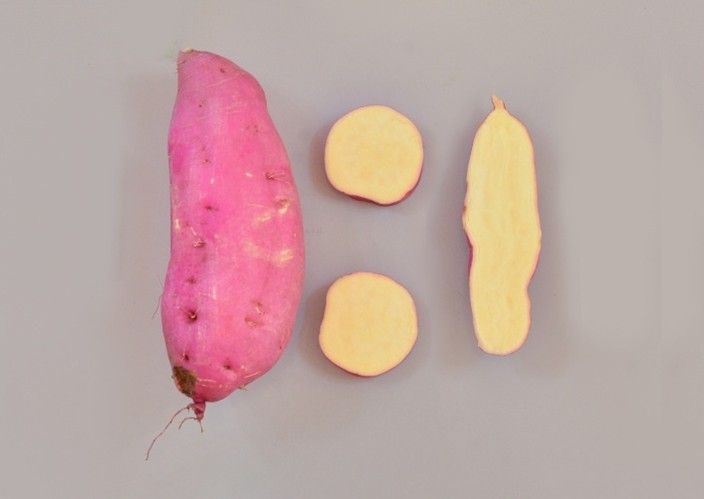 File:20260410180027!48MG.jpg