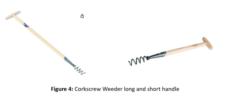 File:800px-Bag 4.webp
