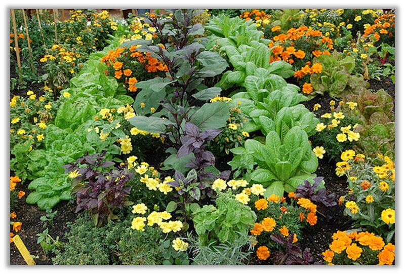 File:20260410180441!800px-Bag 37.jpg