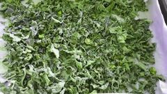 File:240px-PUMPKIN LEAVES.jpg
