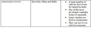 File:180px-Capture 135.webp