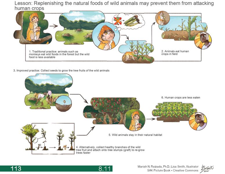 File:776px-8.11 page-0001.jpg