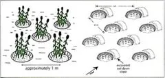 File:240px-Page 10.webp