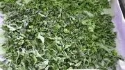 File:180px-PUMPKIN LEAVES.webp