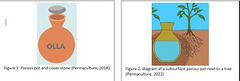 File:240px-Page 31.jpg