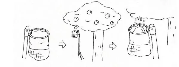 File:20260410180439!600px-Vcx.webp