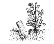 File:180px-Page 5.webp