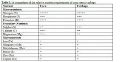 File:240px-Capture 34.webp
