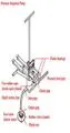 File:63px-Page 6.webp