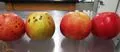 File:120px-User 2.webp