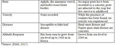 File:240px-Capture 114.webp