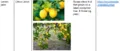 File:120px-Lan 16.webp