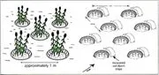File:180px-Page 10.webp