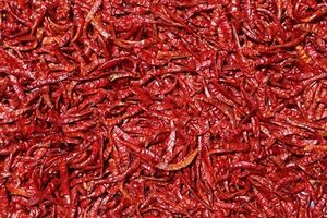 File:20260410180440!300px-Dried chillis.jpg