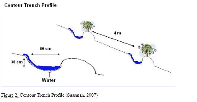 File:Contour.webp
