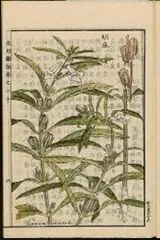 File:160px-ANCIENT.webp