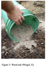 File:Woodash.webp