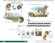 File:180px-8.8b image.webp