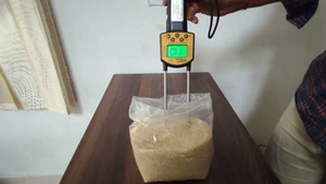 File:Grain 2.webp