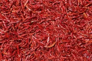 File:20260410180440!300px-Dried chillis.webp