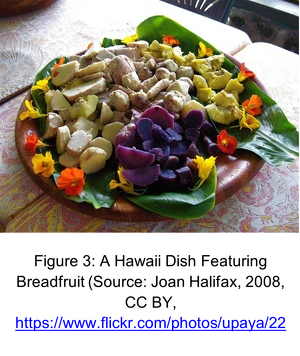 File:FIG3.webp