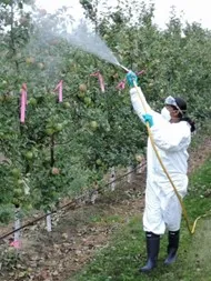 File:20260410180550!User 1.webp