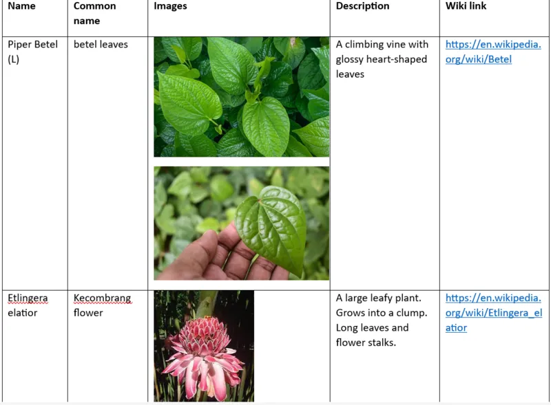 File:800px-Lan 11.webp