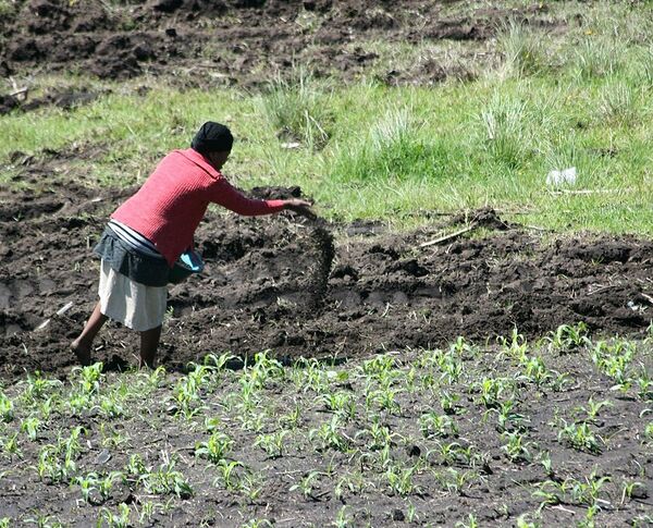 File:600px-890px-Manure.jpg