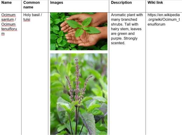 File:600px-Lan 14.webp
