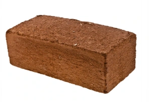 File:Coco 6.webp