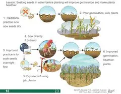 File:240px-Img.2.3.webp