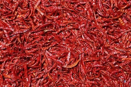 File:20260410180441!450px-Dried chillis.jpg