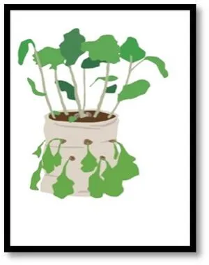 File:300px-P7.webp