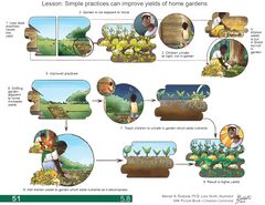 File:240px-5.8 page-0001.jpg