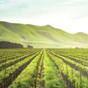 File:180px-5.webp