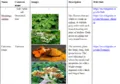 File:20260410180444!120px-Lan 13.webp