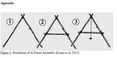 File:20260410180603!240px-Appendix.webp