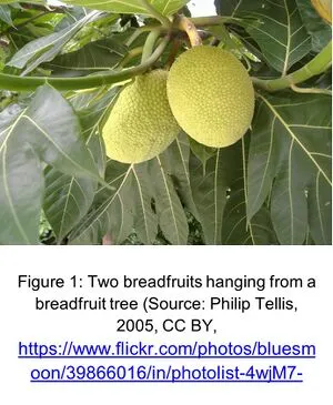 File:FIG 1.webp