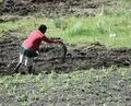 File:120px-890px-Manure spreading Hlokozi 2007 11 29.webp