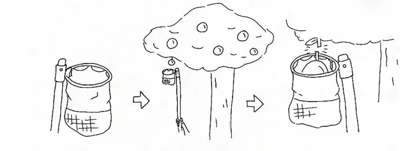 File:799px-Vcx.webp